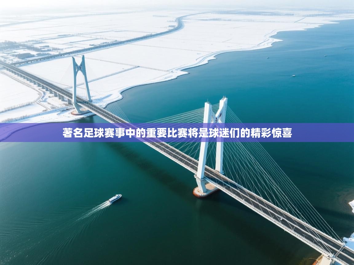 著名足球赛事中的重要比赛将是球迷们的精彩惊喜 第2张