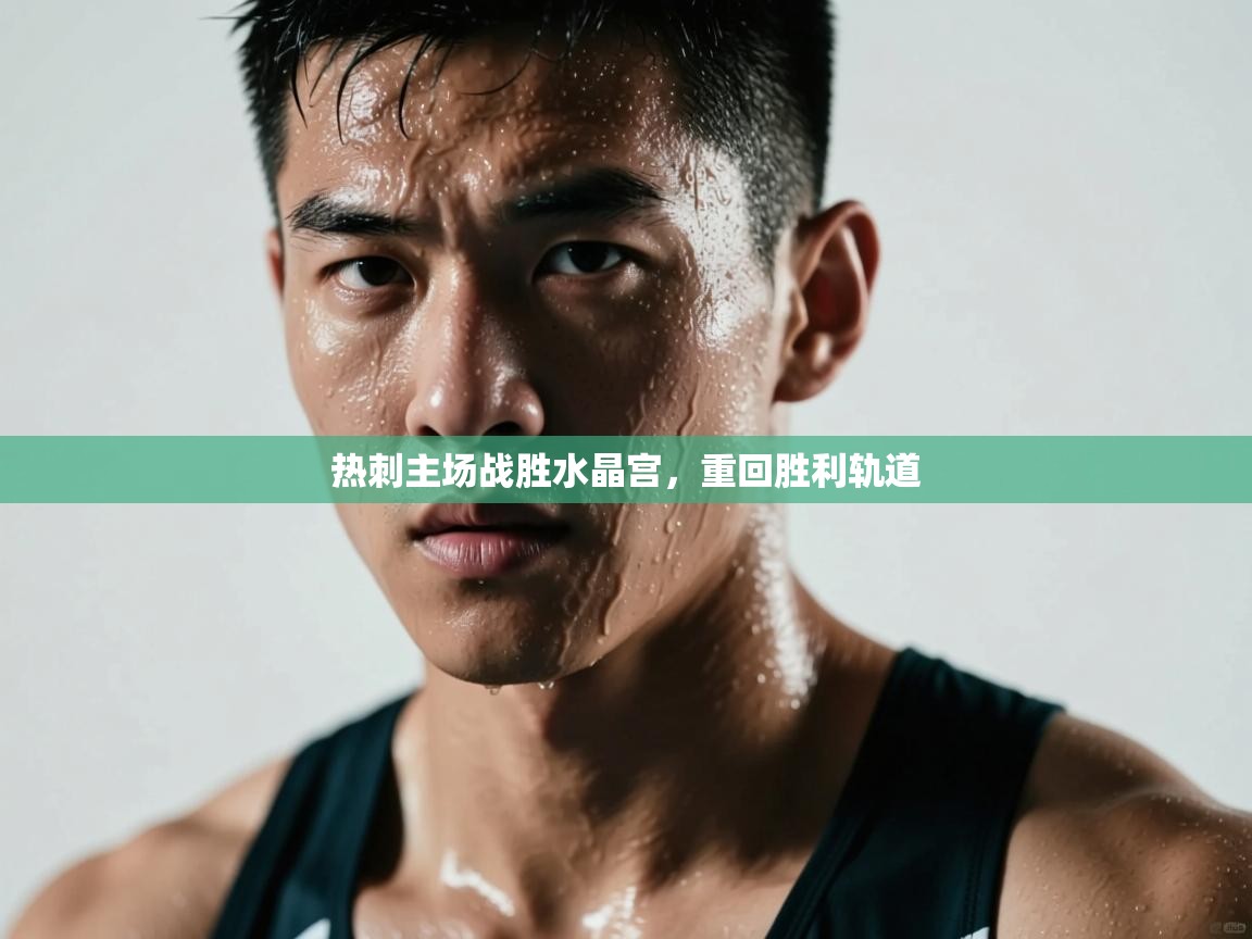 热刺主场战胜水晶宫，重回胜利轨道  第1张