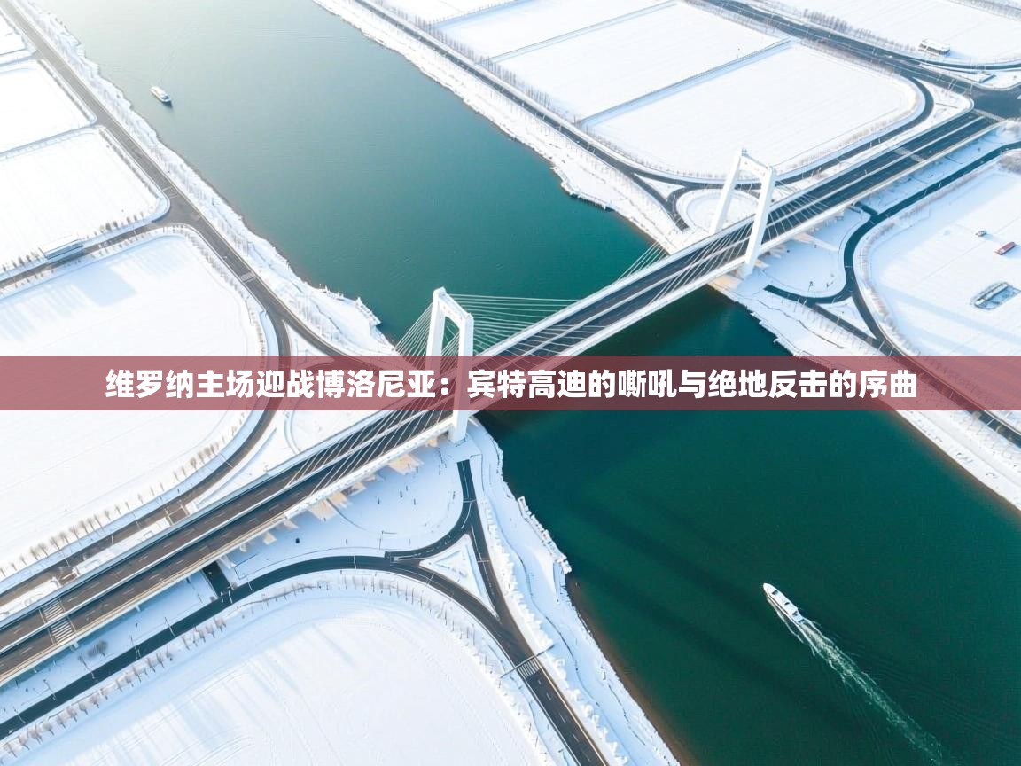 维罗纳主场迎战博洛尼亚:宾特高迪的嘶吼与绝地反击的序曲 第2张