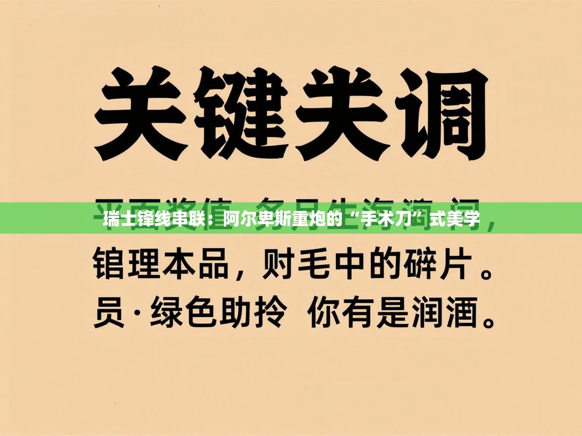 瑞士锋线串联：阿尔卑斯重炮的“手术刀”式美学  第2张
