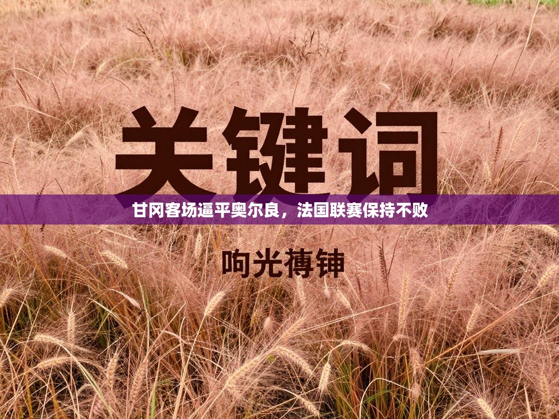 甘冈客场逼平奥尔良，法国联赛保持不败  第1张