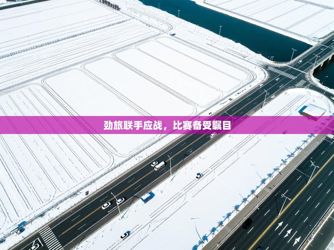 劲旅联手应战，比赛备受瞩目  第1张