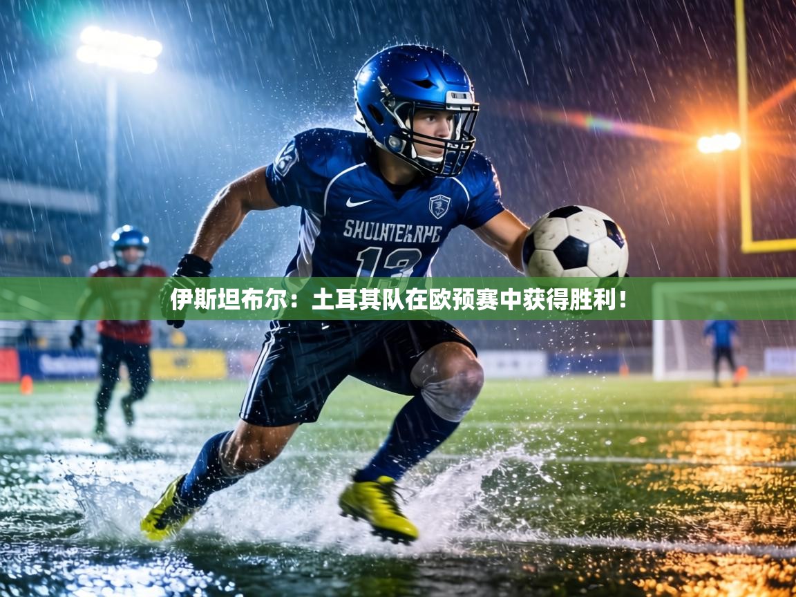 伊斯坦布尔：土耳其队在欧预赛中获得胜利！  第1张