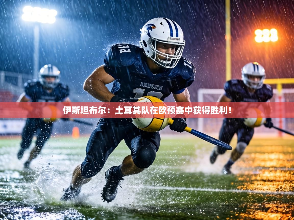 伊斯坦布尔：土耳其队在欧预赛中获得胜利！  第2张