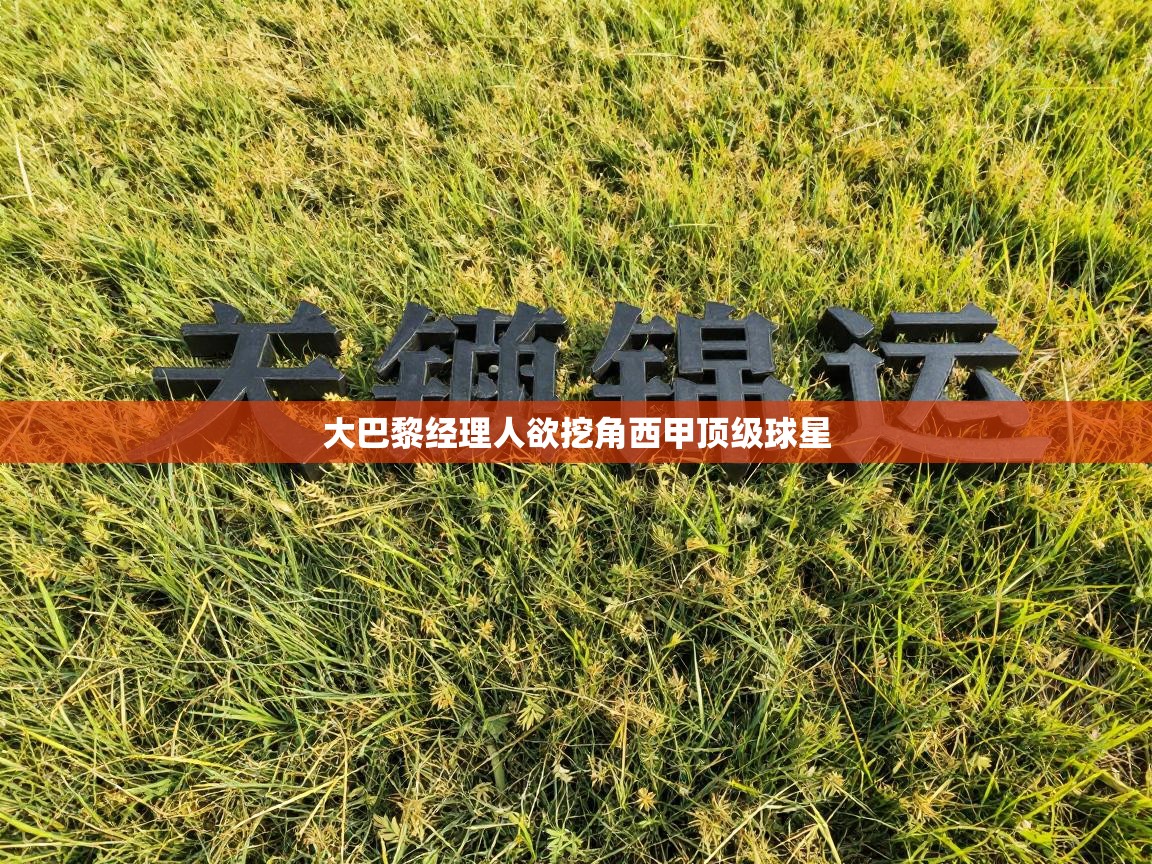 大巴黎经理人欲挖角西甲顶级球星 第1张