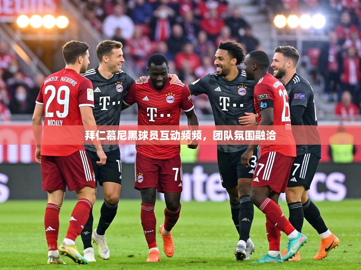 拜仁慕尼黑球员互动频频,团队氛围融洽 第1张