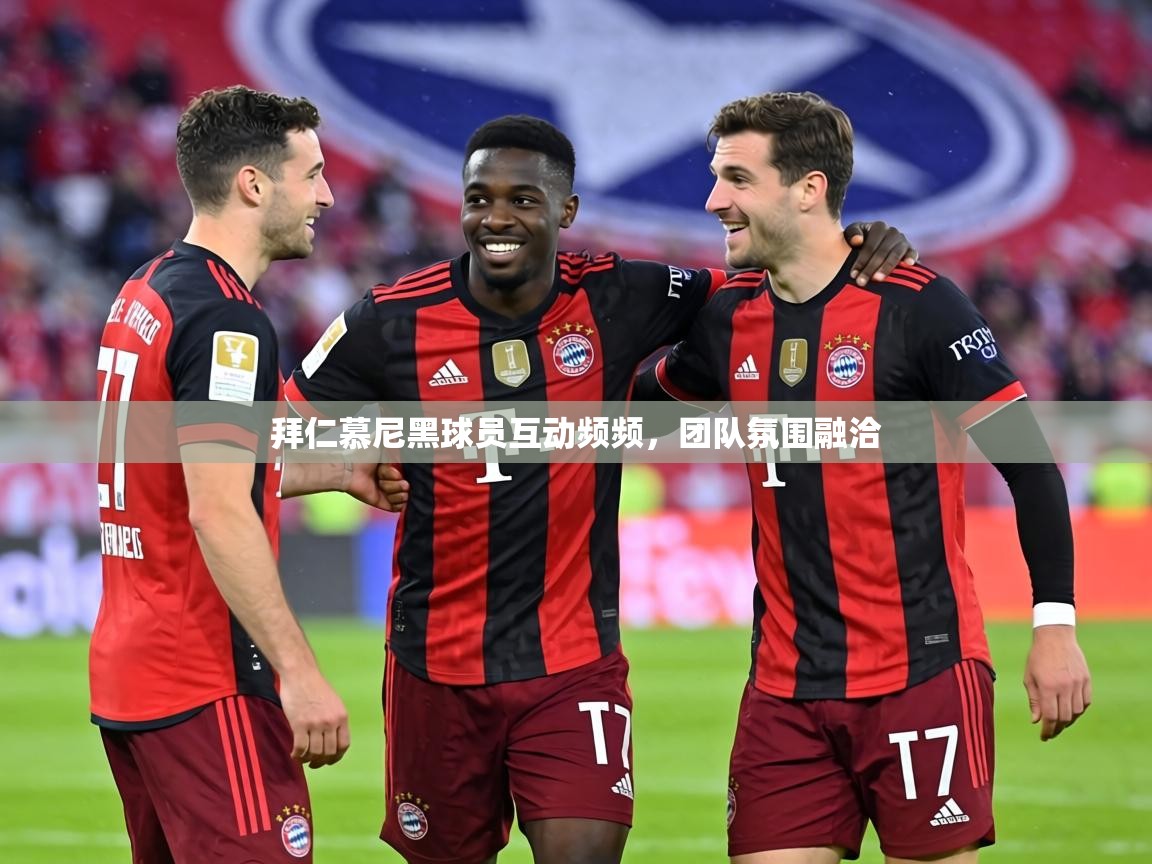 拜仁慕尼黑球员互动频频,团队氛围融洽 第2张