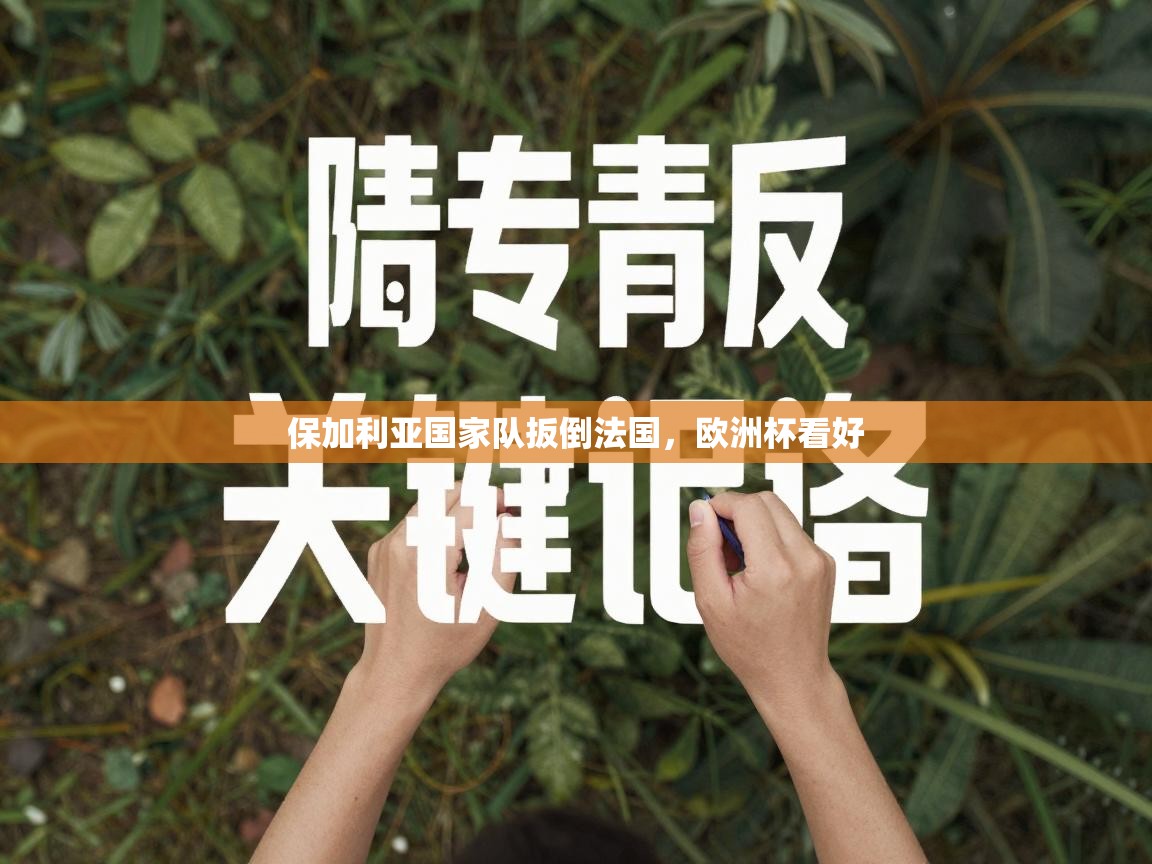 保加利亚国家队扳倒法国，欧洲杯看好  第2张